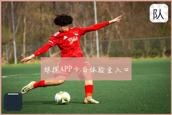 球探APP今日体验金入口